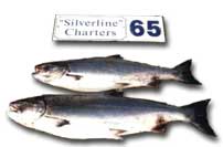 A nice catch at FishingChartersBC.com